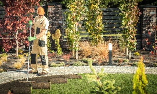 Hızlı ve Pratik:  Rulo Çim Kullanmanın Avantajları